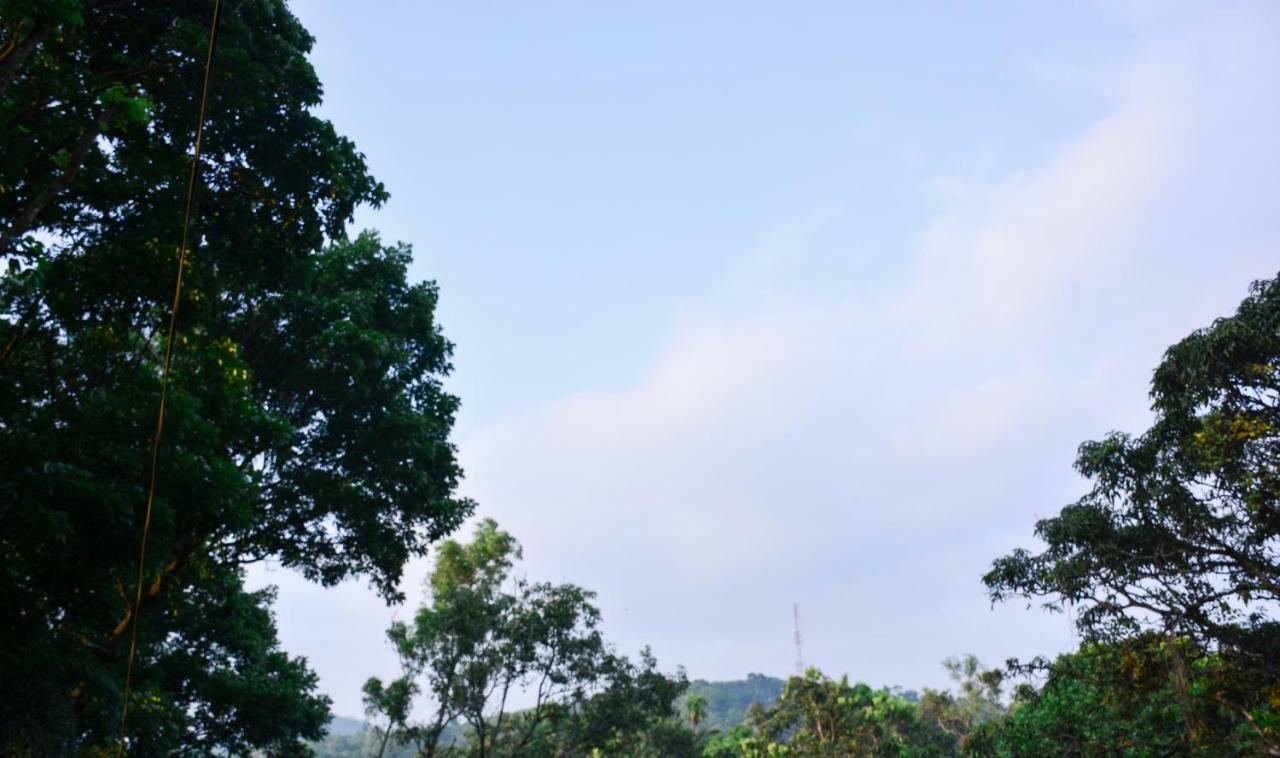 Ceylon Saradiel Home Stay Mawanella Exterior foto